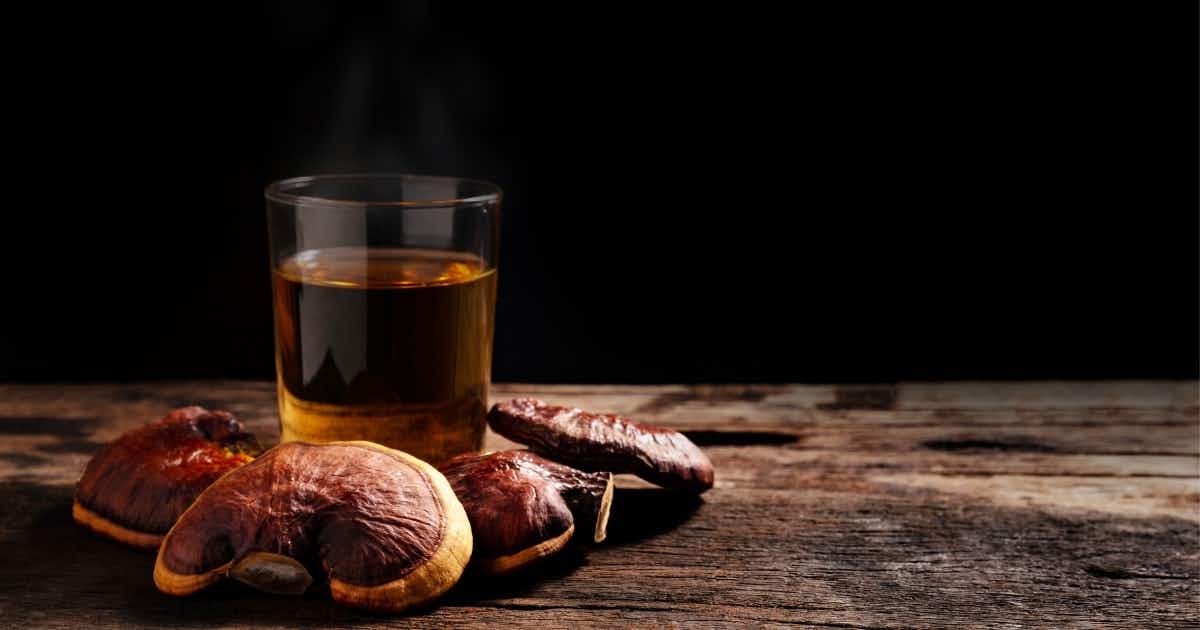 Reishi mushroom tea in a glass