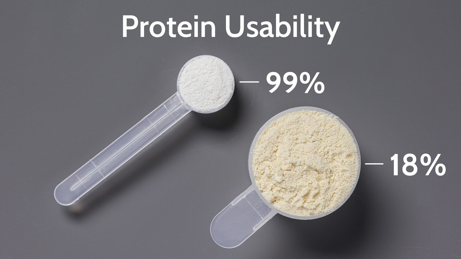 The Problem with Standard Protein Supplements