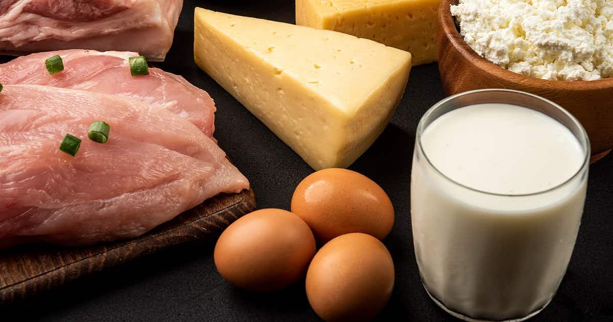 Animal Based vs Carnivore Diet: Which Makes More Sense for You?