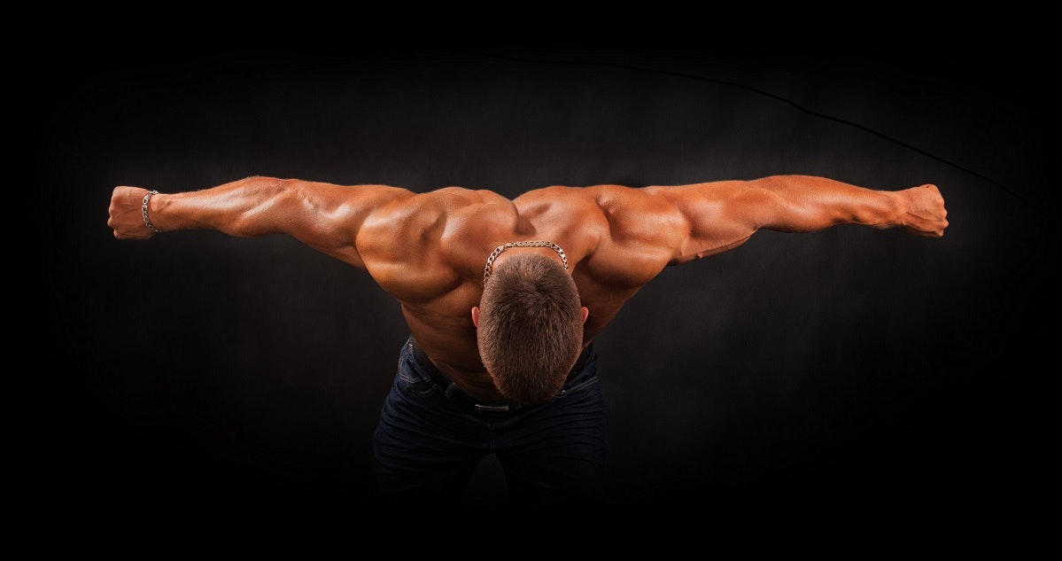 Strength Training for Sport Bands for Powerlifting, BodyBuilding