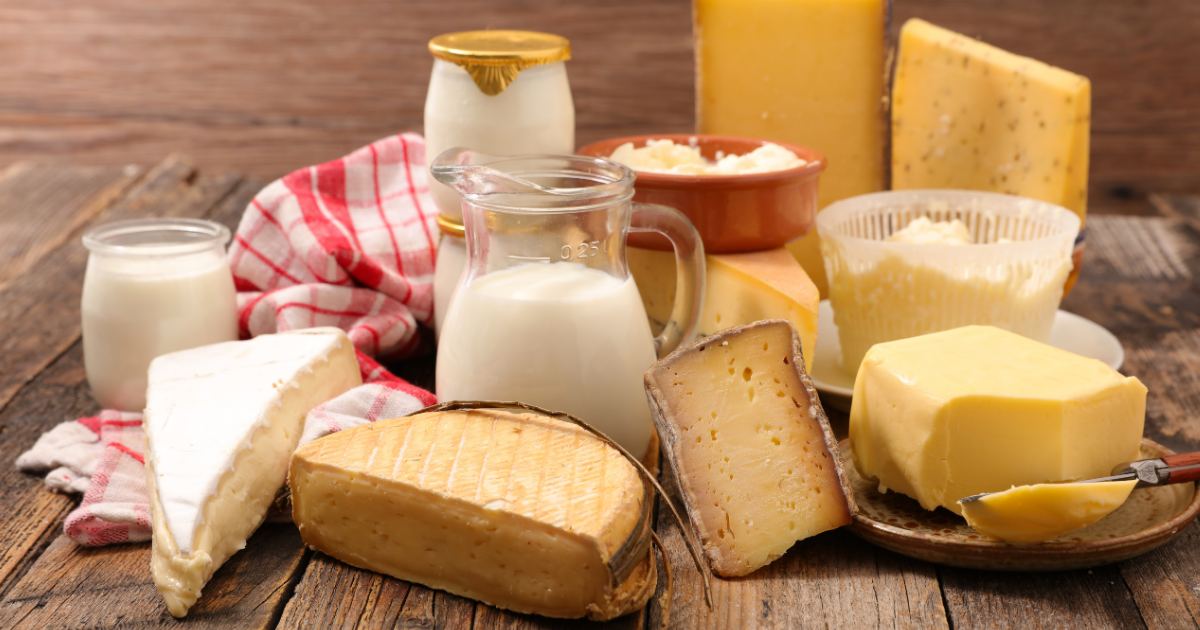 dairy products