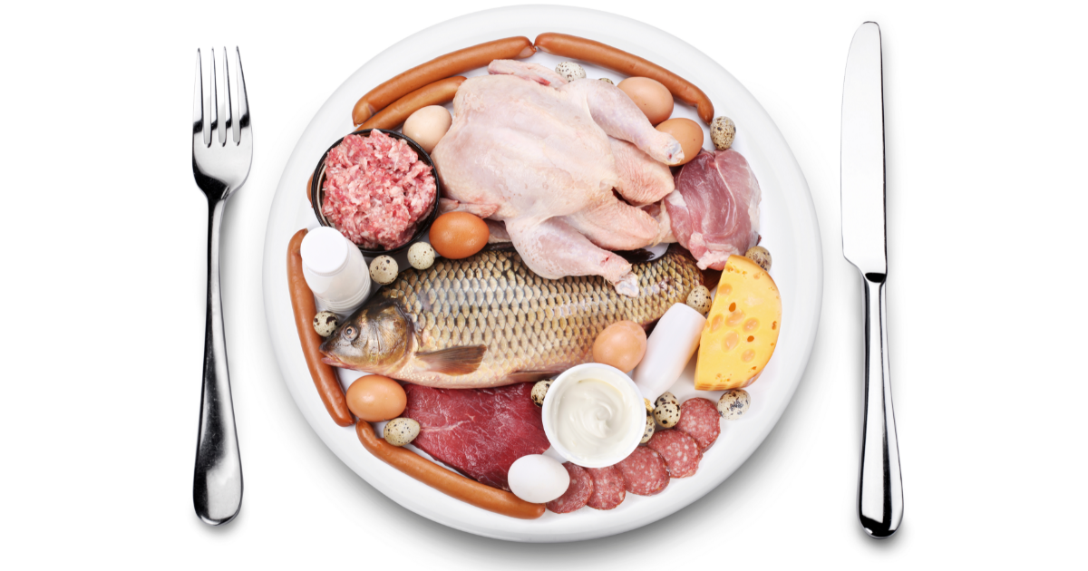 A Quick Start Guide to the Animal-Based Diet