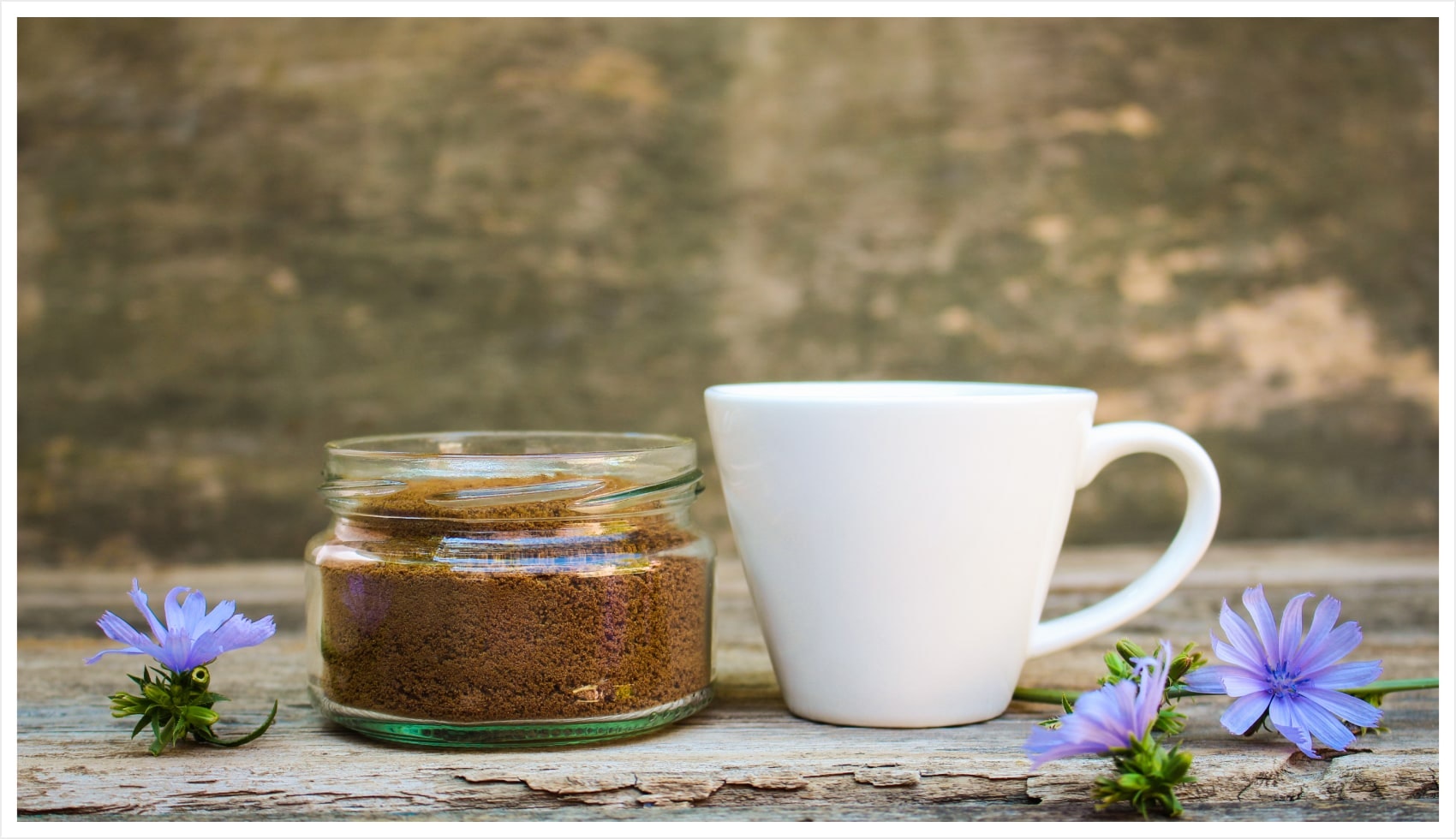 The Best Coffee Substitute & Best Coffee Alternative in 2024