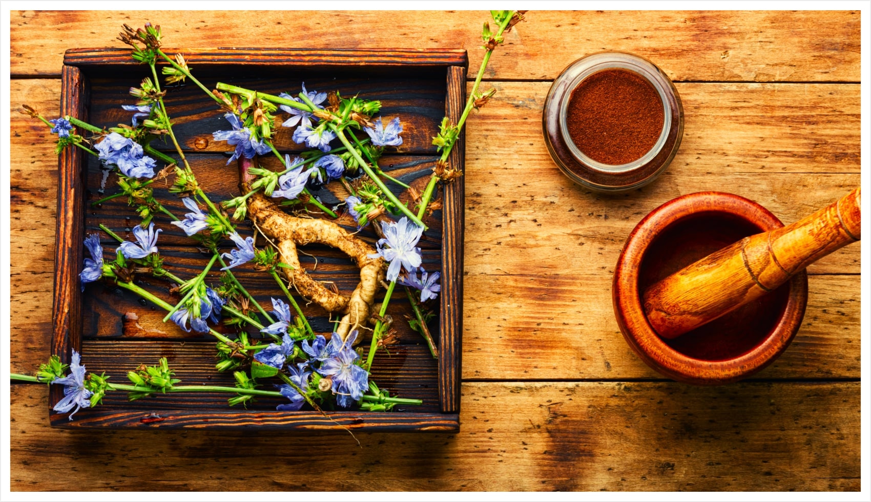 Flowers and roots on a tray with mortar and pestle