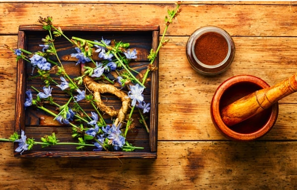 Flowers and roots on a tray with mortar and pestle