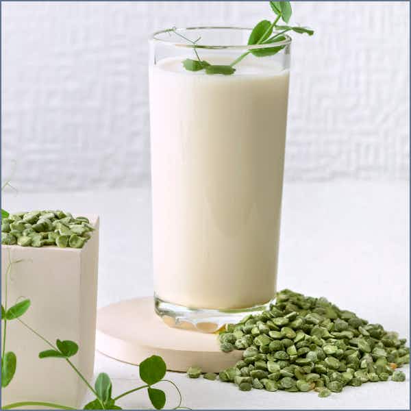 Pea Protein