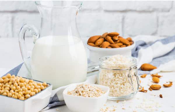 Can you Get Enough Protein Without Dairy?