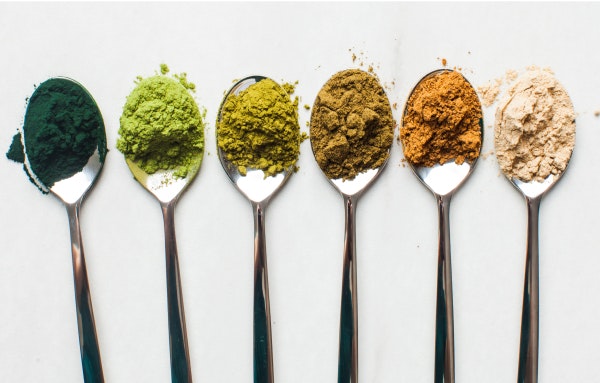 Types of Protein Powder