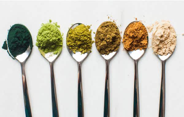 Types of Protein Powder