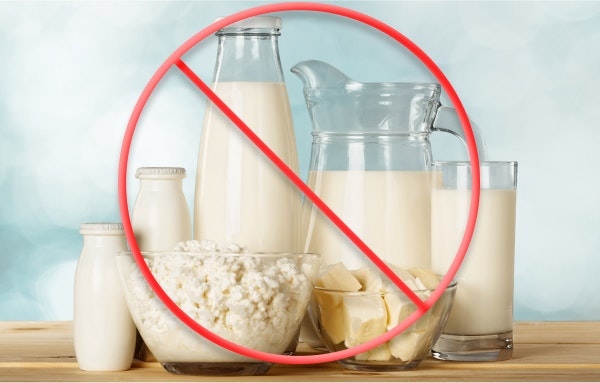 What Is In a Dairy-free Protein Powder?