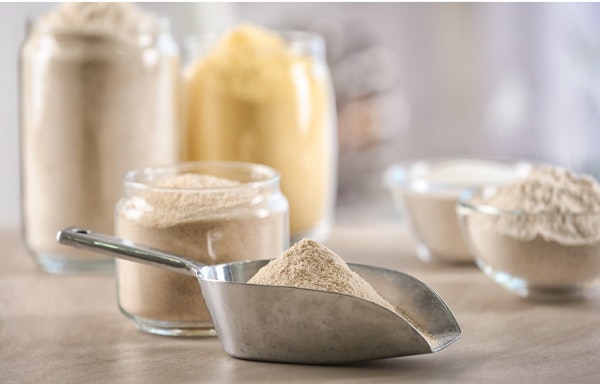 What's the Difference between Whey, Lactose-Free, and Non-Dairy Protein Powder?