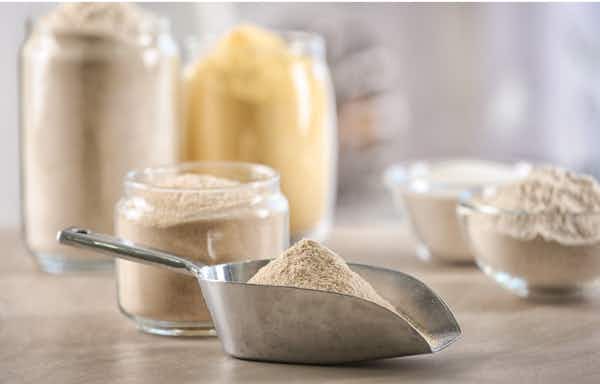 What's the Difference between Whey, Lactose-Free, and Non-Dairy Protein Powder?