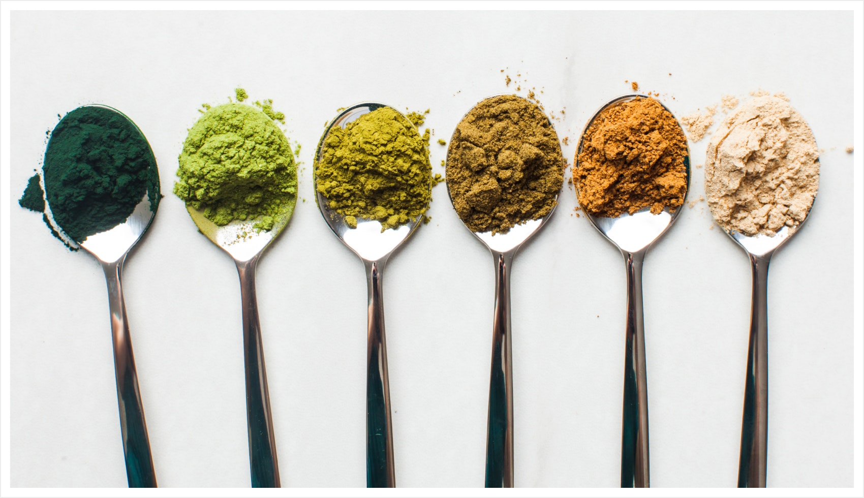 Types of Protein Powder