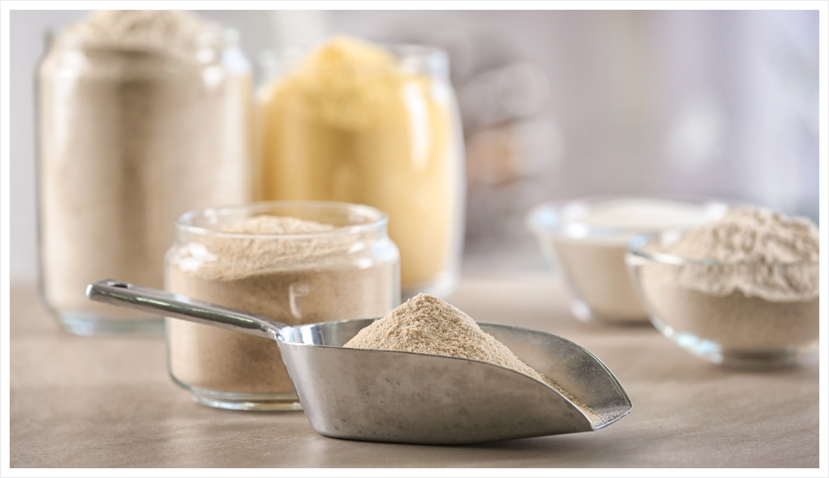 What's the Difference between Whey, Lactose-Free, and Non-Dairy Protein Powder?