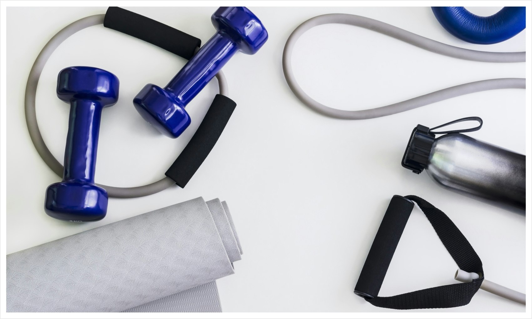 types of protein powders