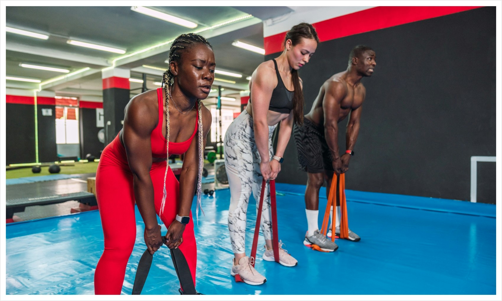 types of protein powders