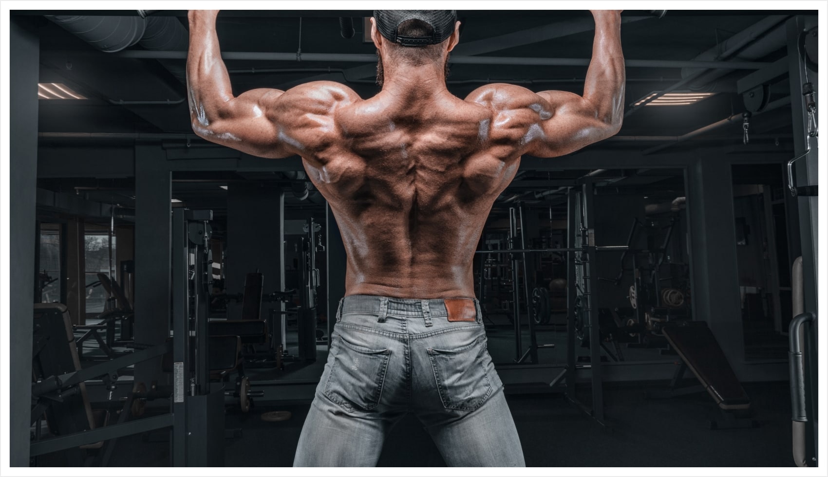 Best Home Workout Bar in 2024 Jaquish Biomedical