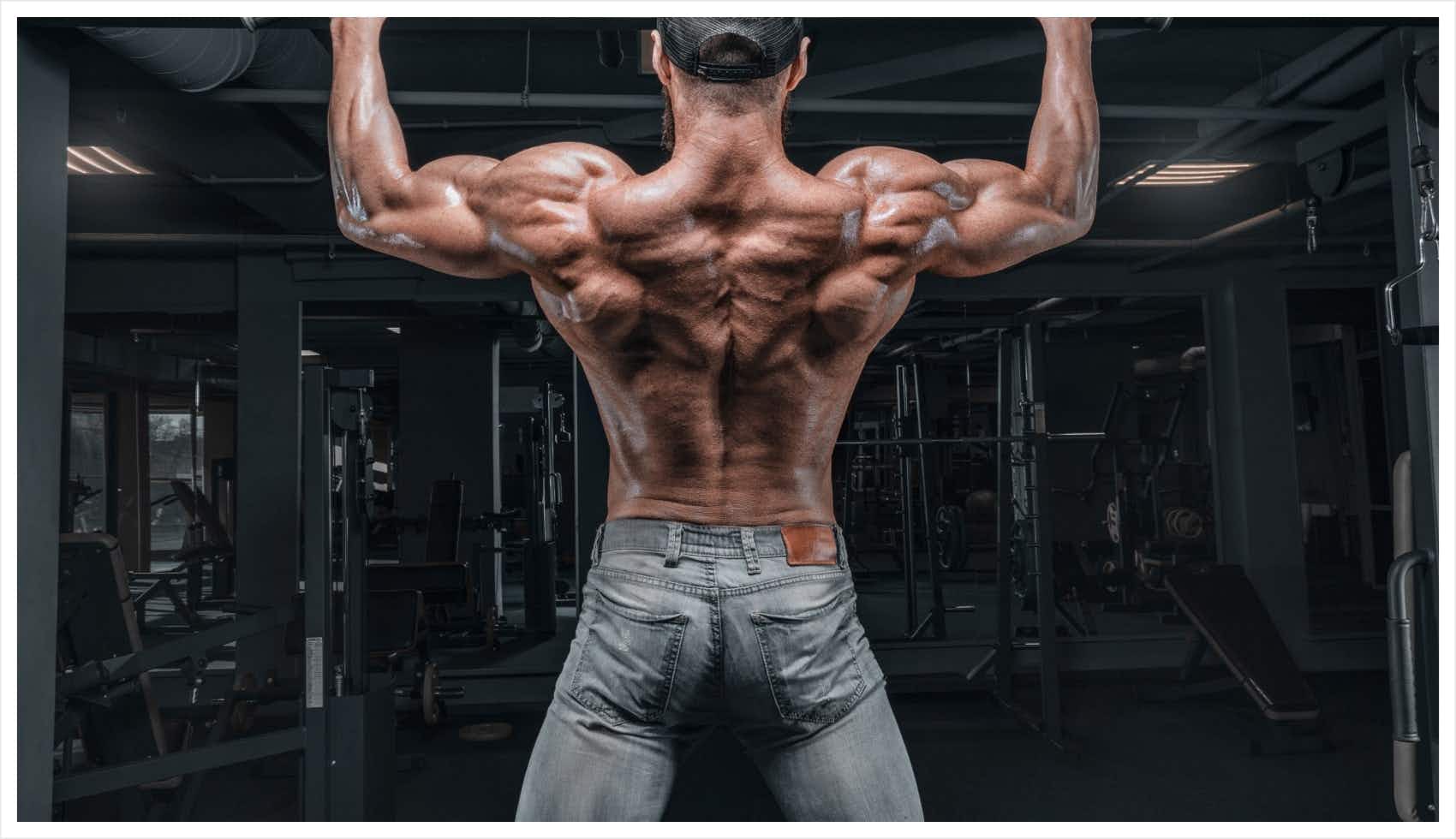 home workout bar options