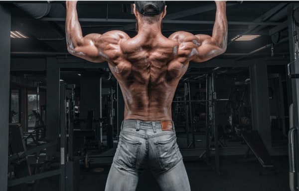 Home Workout Bar Options