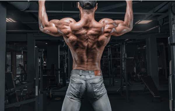 Home Workout Bar Options