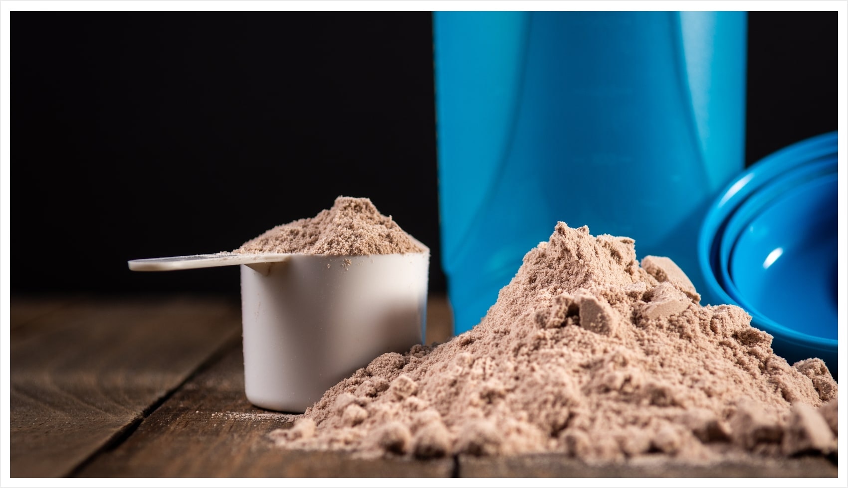 types of protein powders