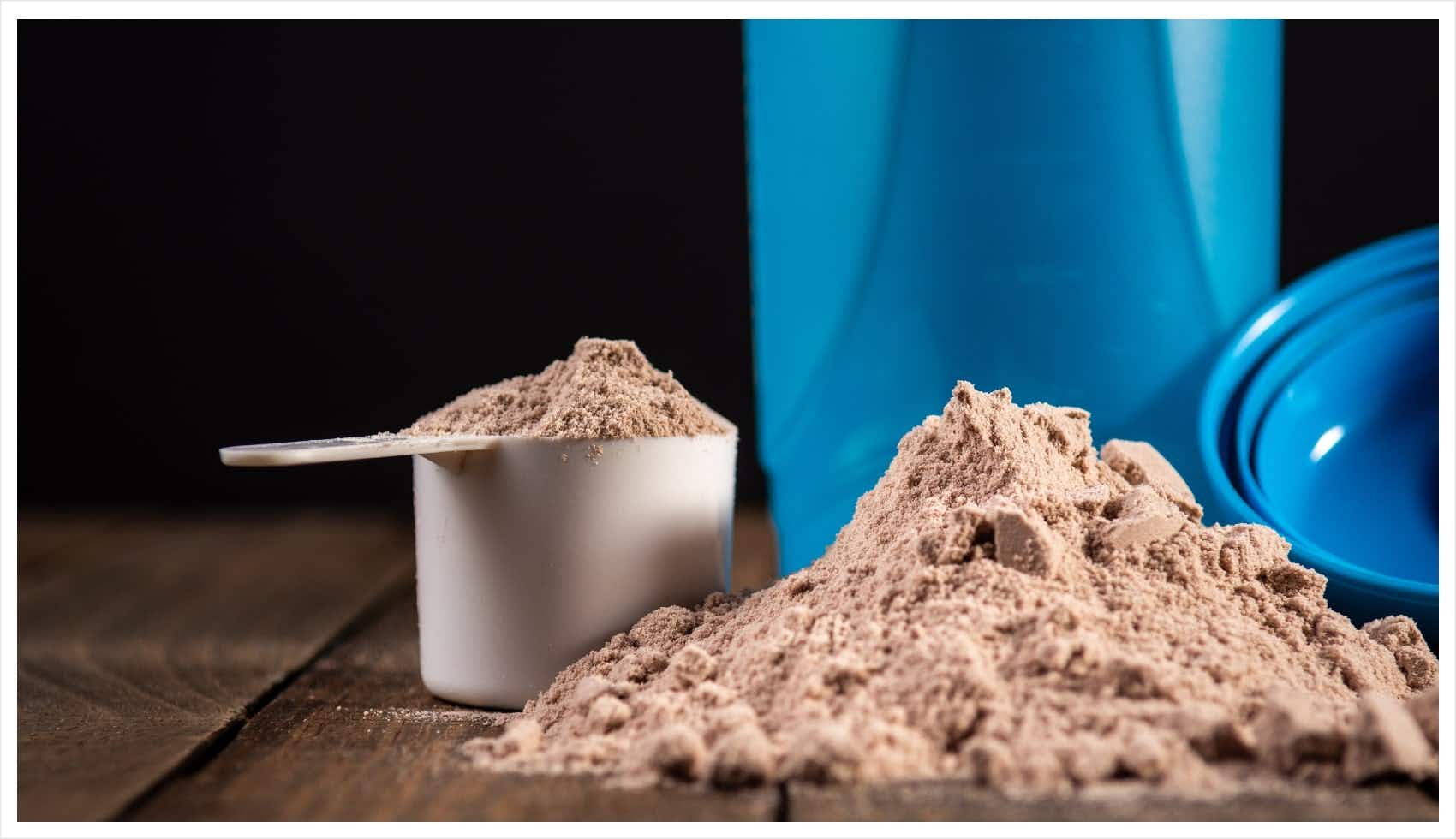 types of protein powders