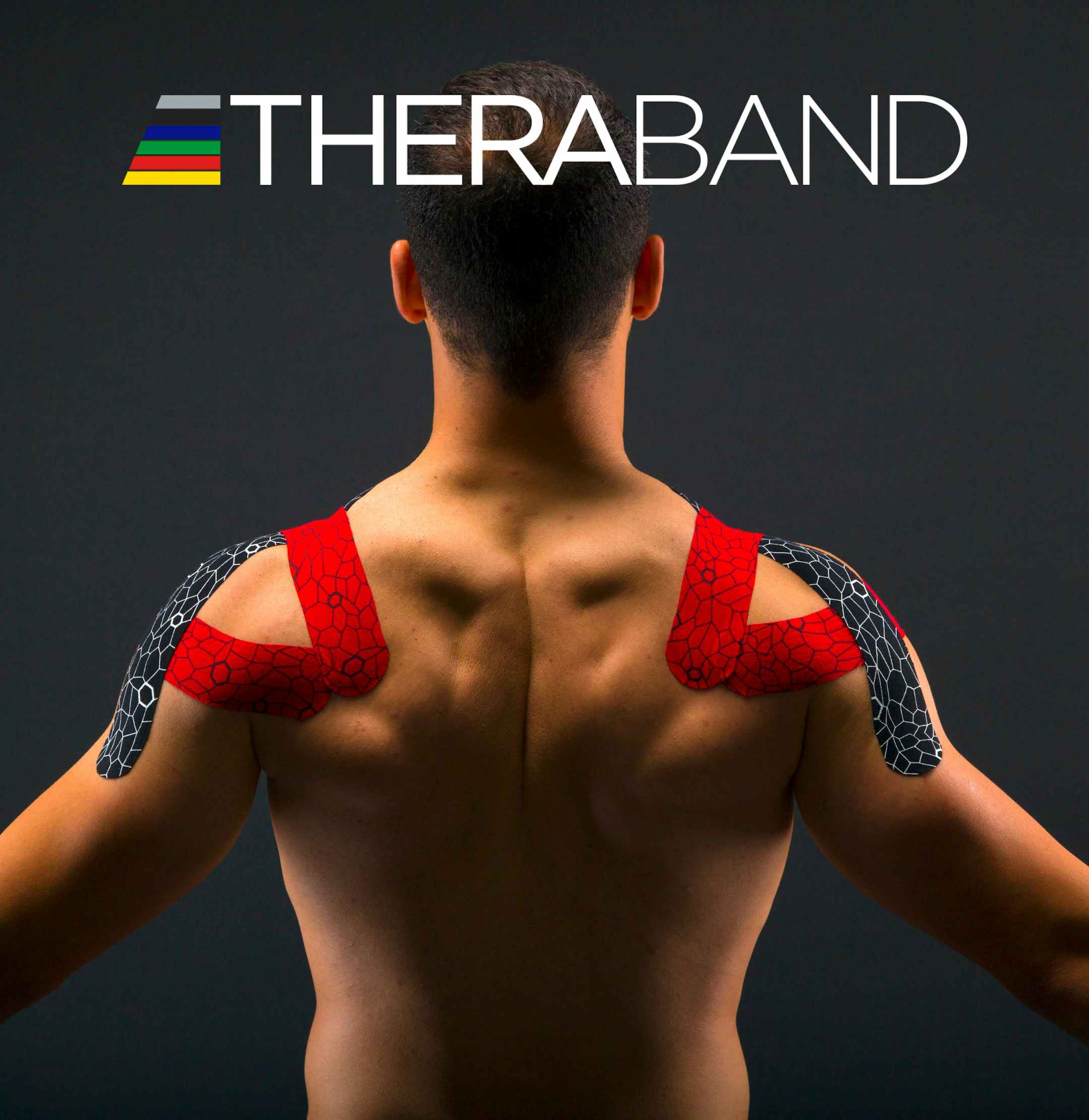Best Therapy Resistance Bands