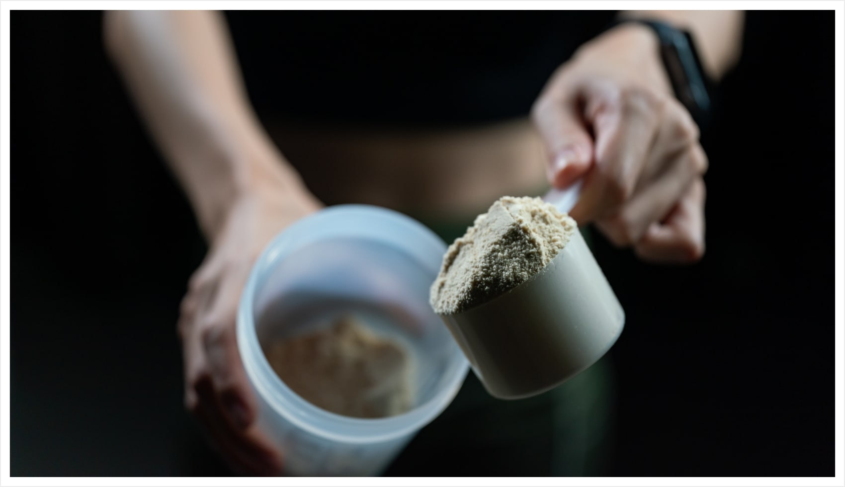 types of protein powders