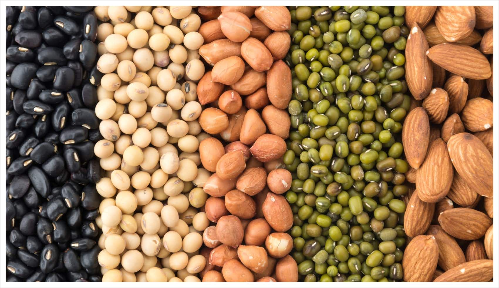 types of protein powders