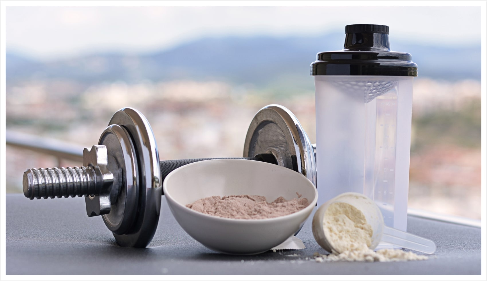 types of protein powders