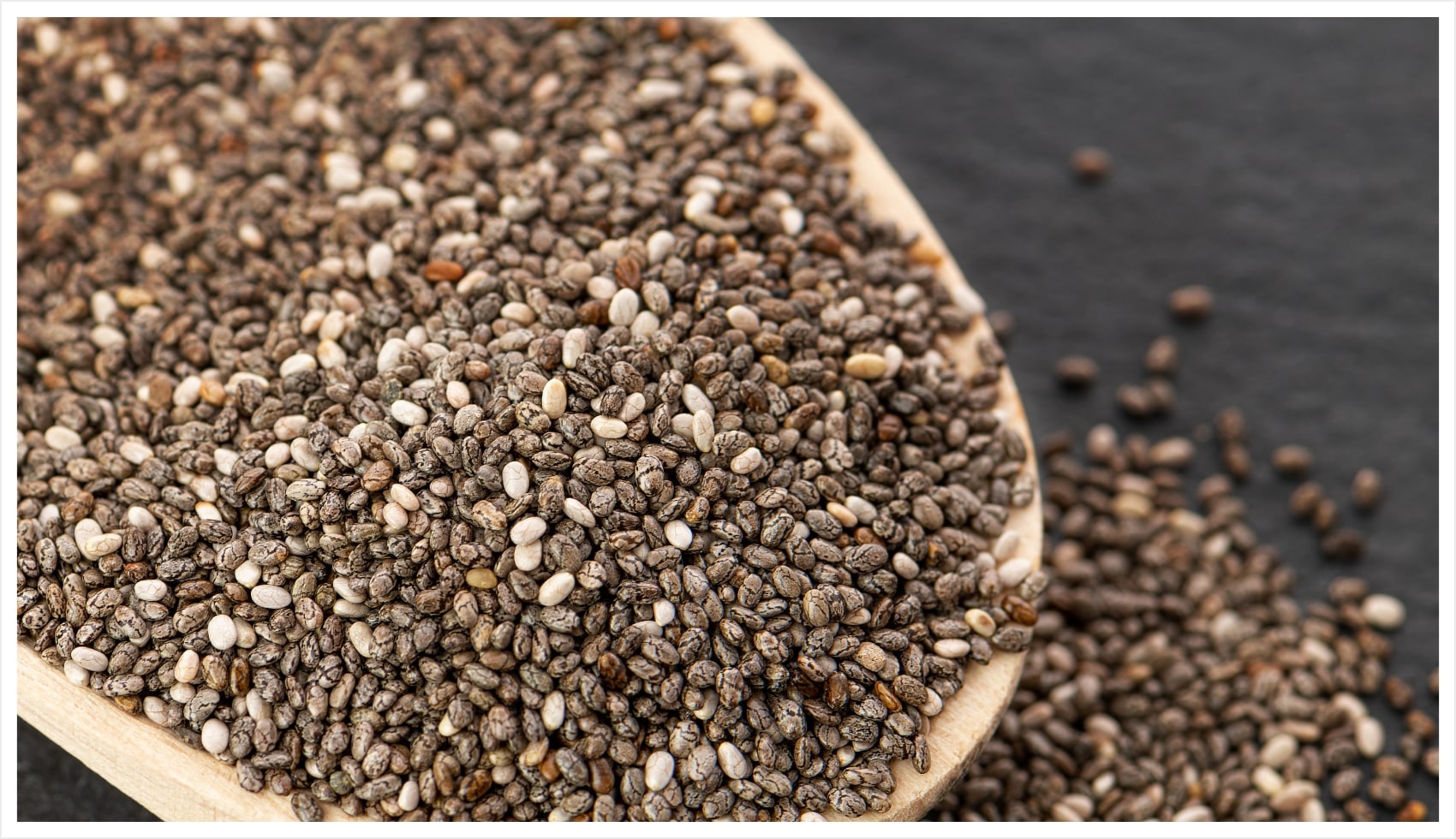 types of protein powders