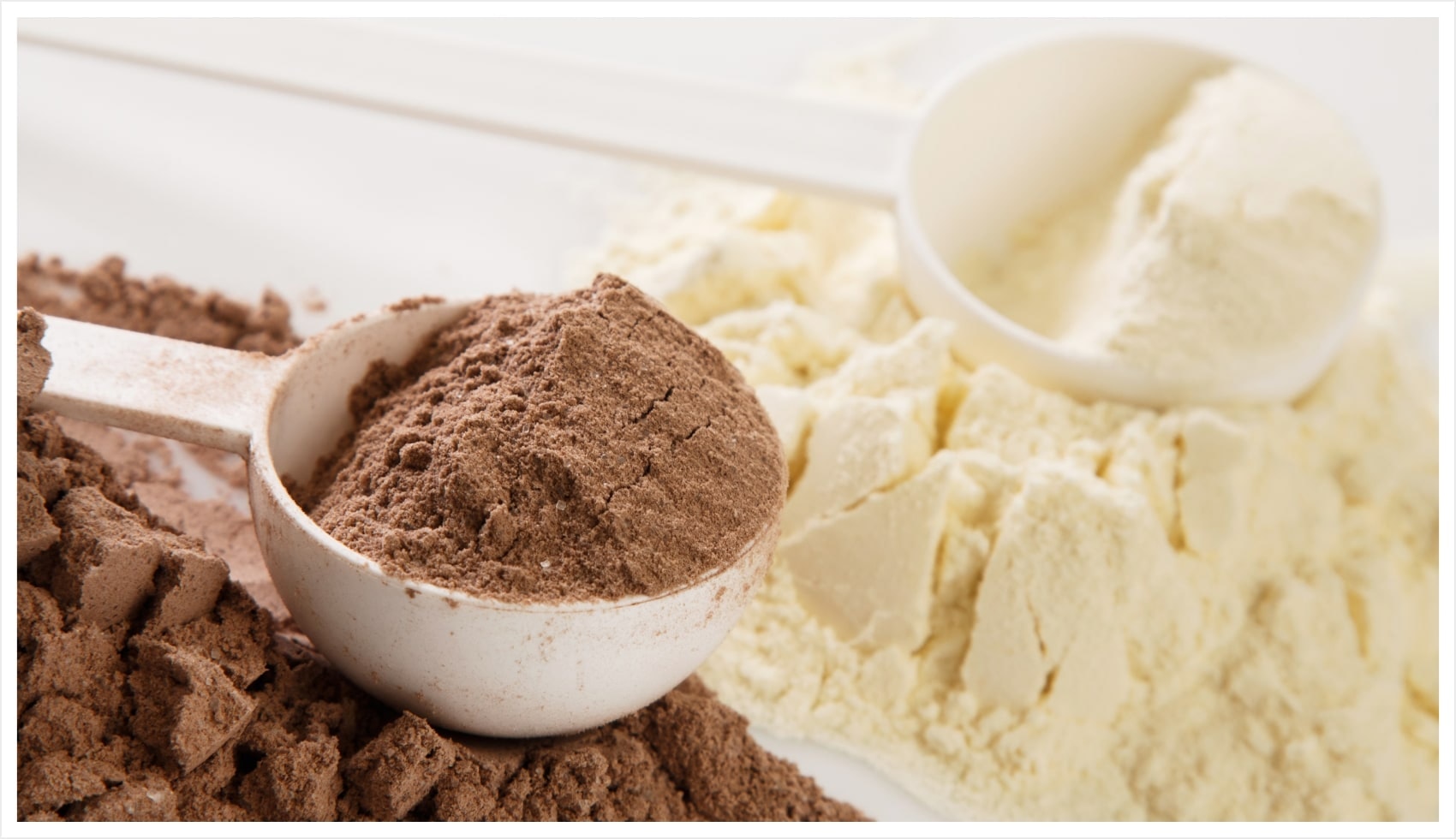 types of protein powders