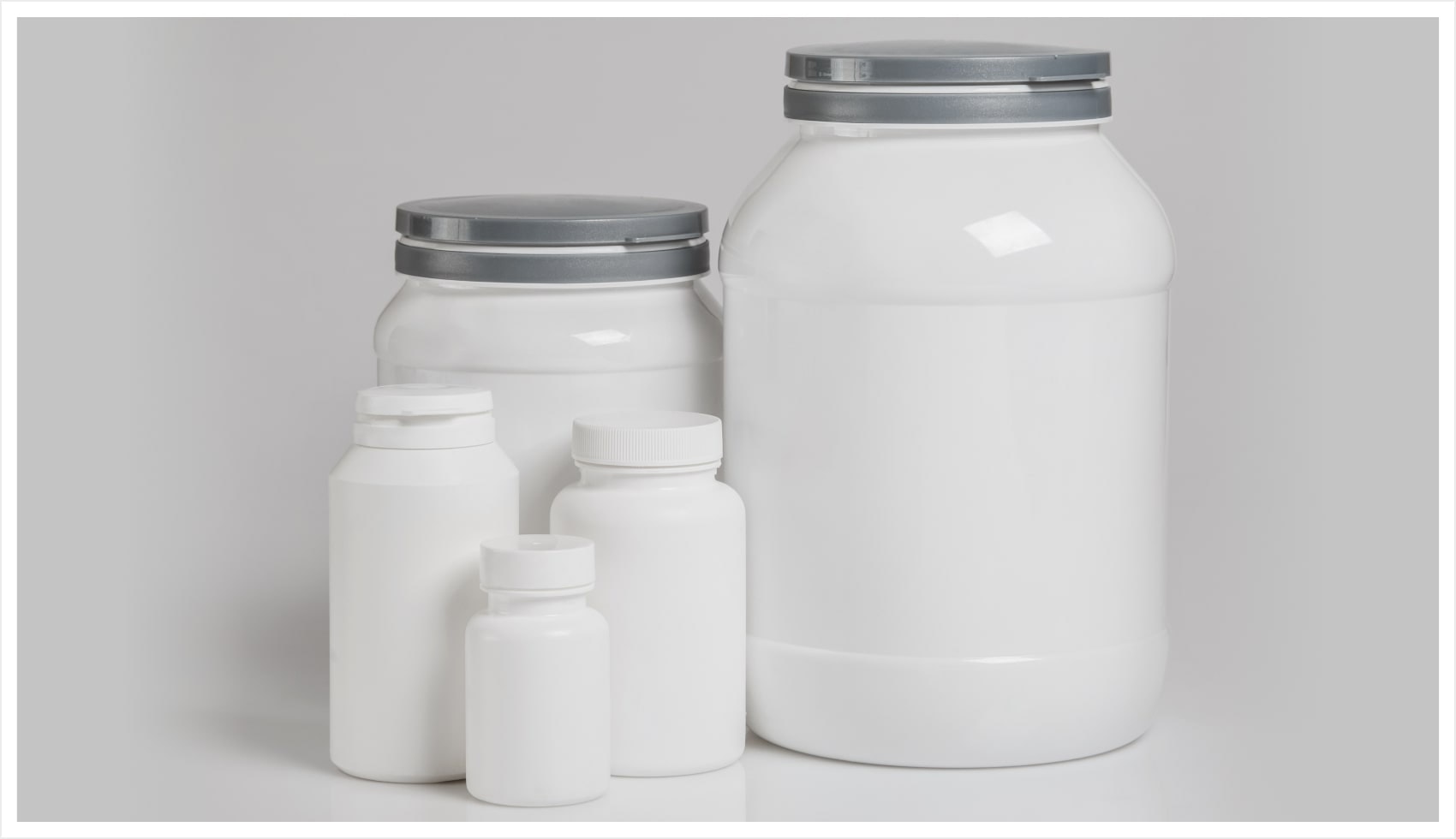 types of protein powders