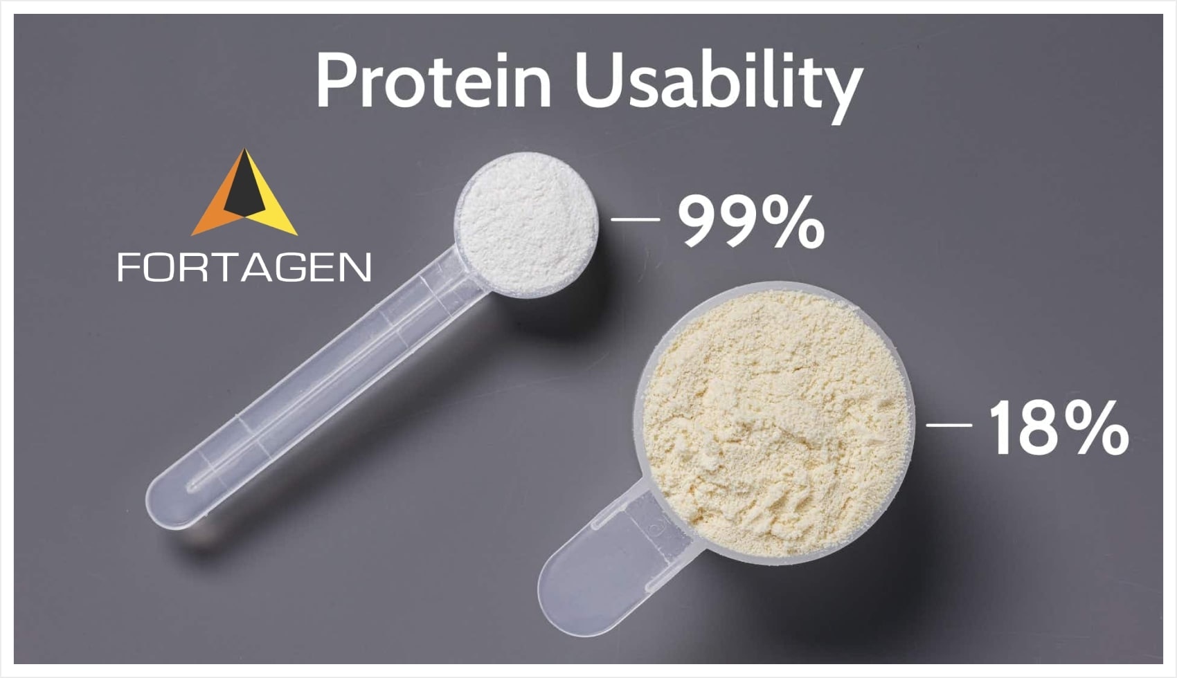 types of protein powders