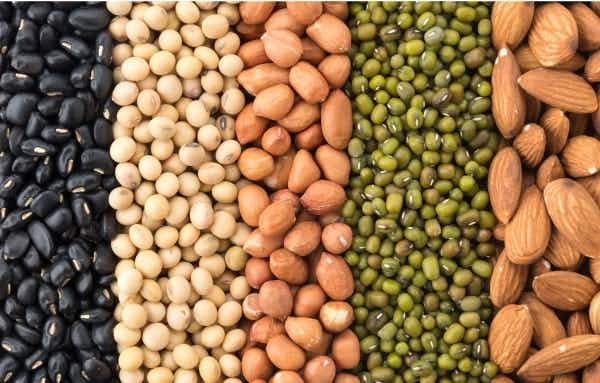 What is Vegan Protein Powder Made From?