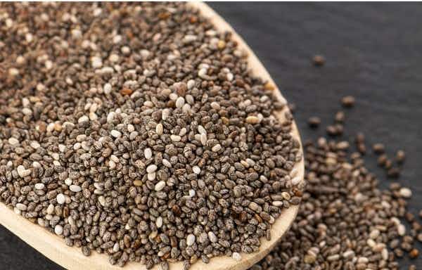 Most Common Vegan Protein Shake Ingredients