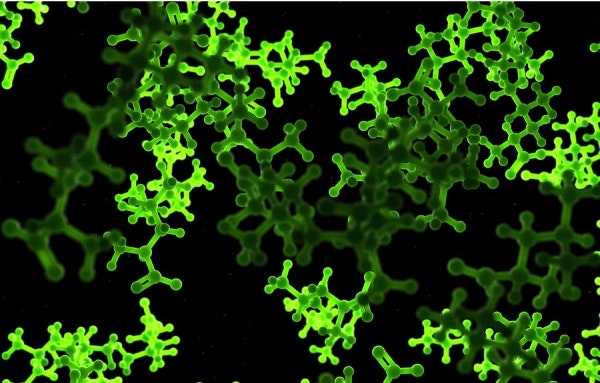 Which Essential Amino Acids Do You Need?