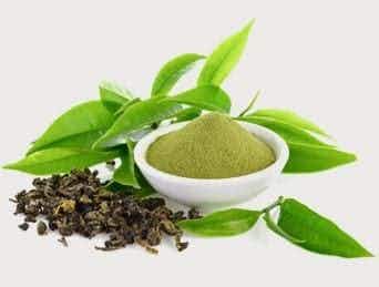 L-Theanine