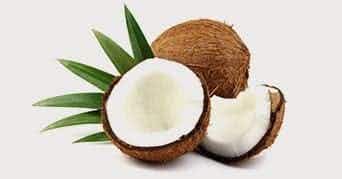 Medium Chain Triglycerides